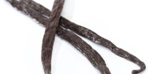 Vanilla Beans