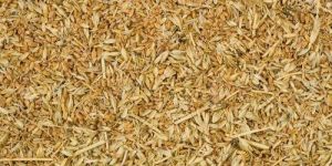 Wheat Husk