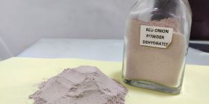 Dehydrated Red Onion Powder