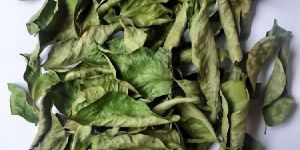 Dried Curry Leaves