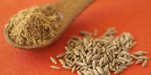 Cumin Seed