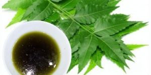 Neem Oil Tech
