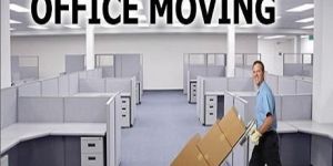 Office Shifting