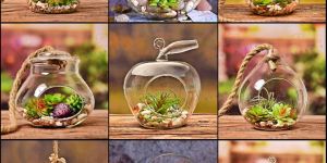 Glass Terrarium