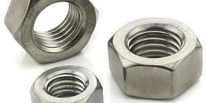 Stainless Steel Nuts