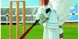 Foldable Display Stand