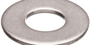SS Plain Washer