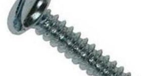 SS Slotted Pan Head Screw