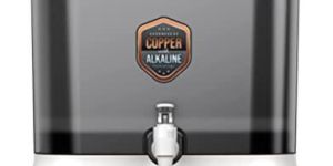 Thunderwell Sega White RO Water Purifier