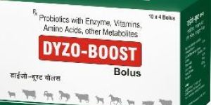 Dyzo-Boost Bolus