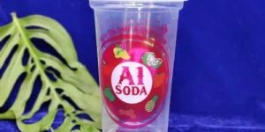 300ML Custom Printed Soda Glass