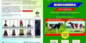 ECOGOLD BIOKSHEERA COW SUPPLEMENT