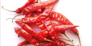 Guntur Red Chilli