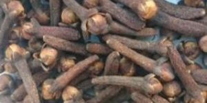 Dry Cloves