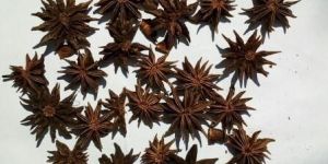 Star Anise