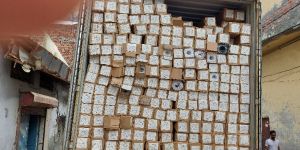 Vinyl and Oneway Vision