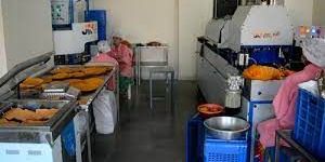 Khakhra Making Machine Plant