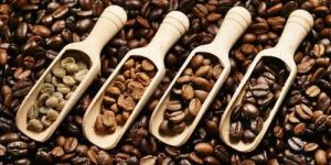 Roasted Coffee Beans