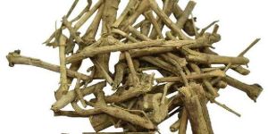 Pashanbhed Nepali Herb