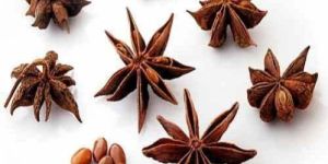Star Anise Seeds