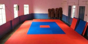 Martial Arts Mat