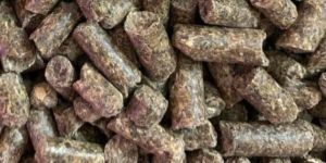 Sunflower Meal Pellets(Ukraine Origin)