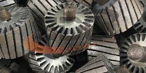 Squirrel Cage Rotor Stamping