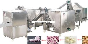 Onion Processing Machine Line