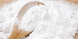 Sodium Methyl Paraben