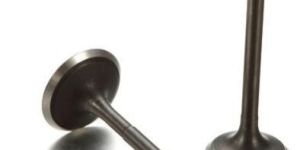 TVS King Engine Valve