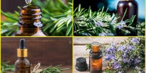 Rosemary Oil
