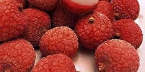 Frozen Litchi