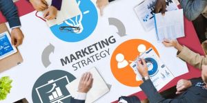 Marketing Strategy Consultant