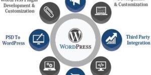 Wordpress Website Development Services