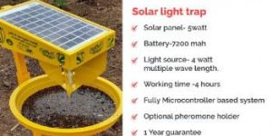 Solar Insect Trap
