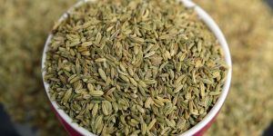 Saunf Mouth Freshener