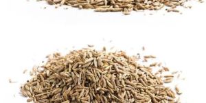 Premium Indian Cumin Seeds