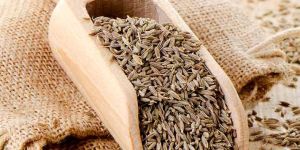 European Premium Cumin Seeds