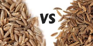 Best Cumin Seeds