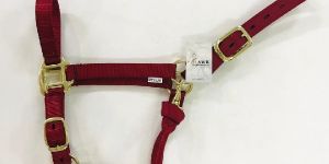 Maroon Web Nylon Halter