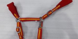 Web Nylon Halter with Fancy Febric Red