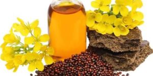 Mustard Oil