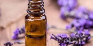 Lavender Oil