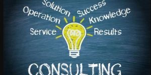Business Consultancy Services