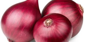 Fresh Red Onion