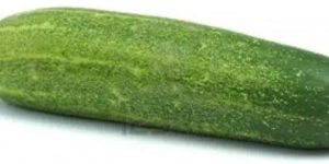 Cucumber