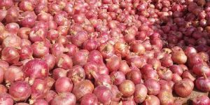Onions