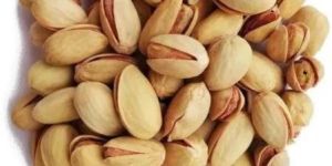 Pistachio Nuts
