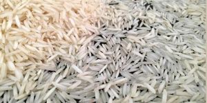 Steam Basmati Rice