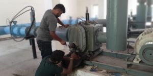 Twin Lobe Roots Blower